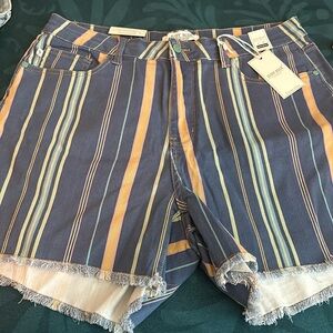 Judy Blue striped shorts size 2xl